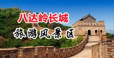 洋妞一级片中国北京-八达岭长城旅游风景区